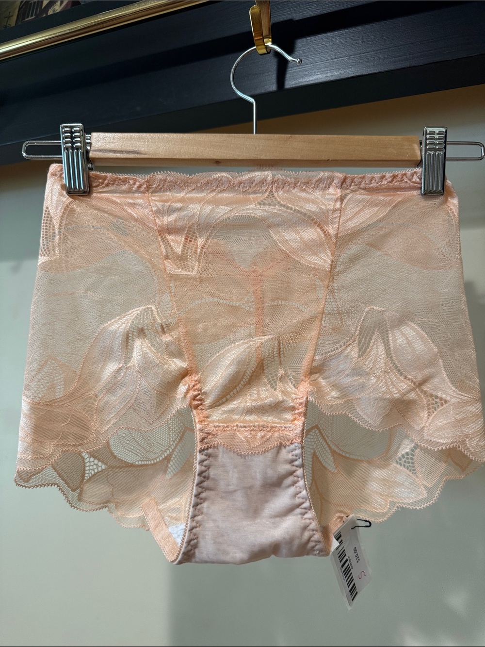 Sheer Lace High-Waist Briefs in Peach